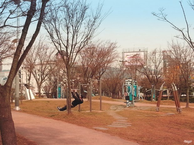 20160406_104600 - Copy (1)