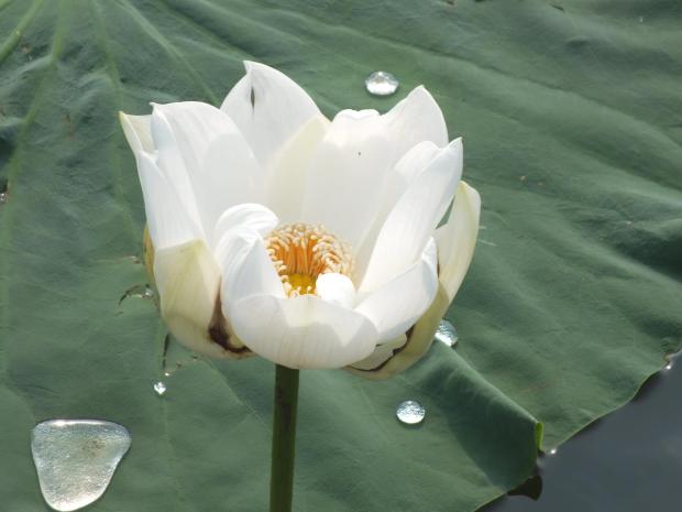 13669361_10209897901632866_3957072711087406546_o