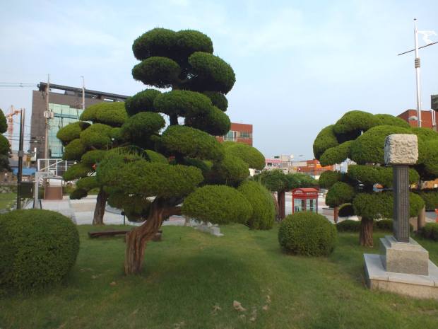 13698193_10209897924953449_6956449082545413521_o