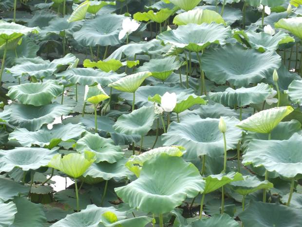 13717366_10209897900872847_4873435455592247164_o