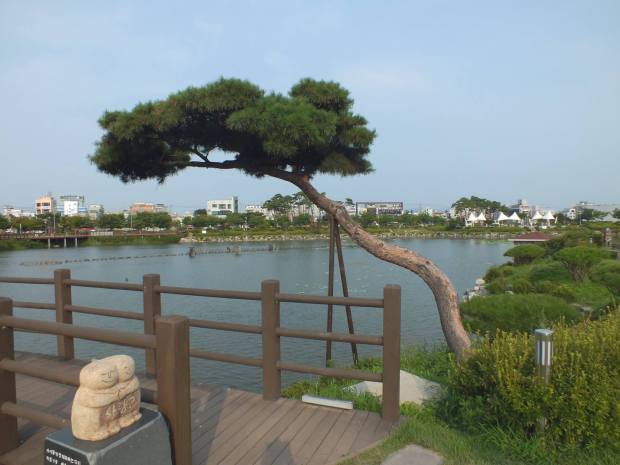 13719494_10209897904752944_2904279509809728462_o