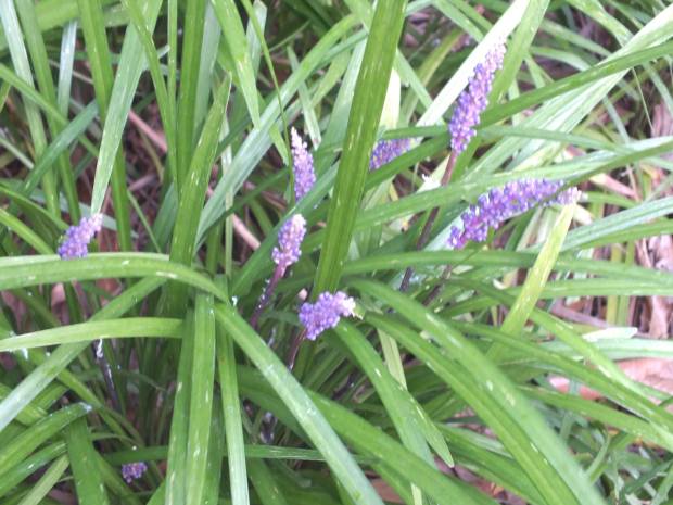 13732017_10209897912073127_8278463651082745764_o