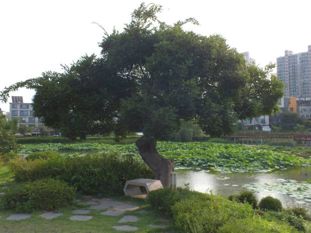 13737511_10209897904352934_7307710843203800284_o