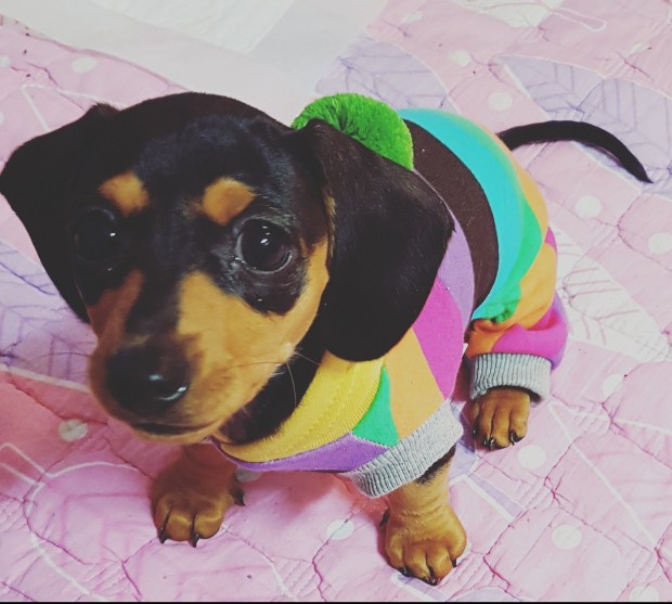 IMG_20171130_115206_630