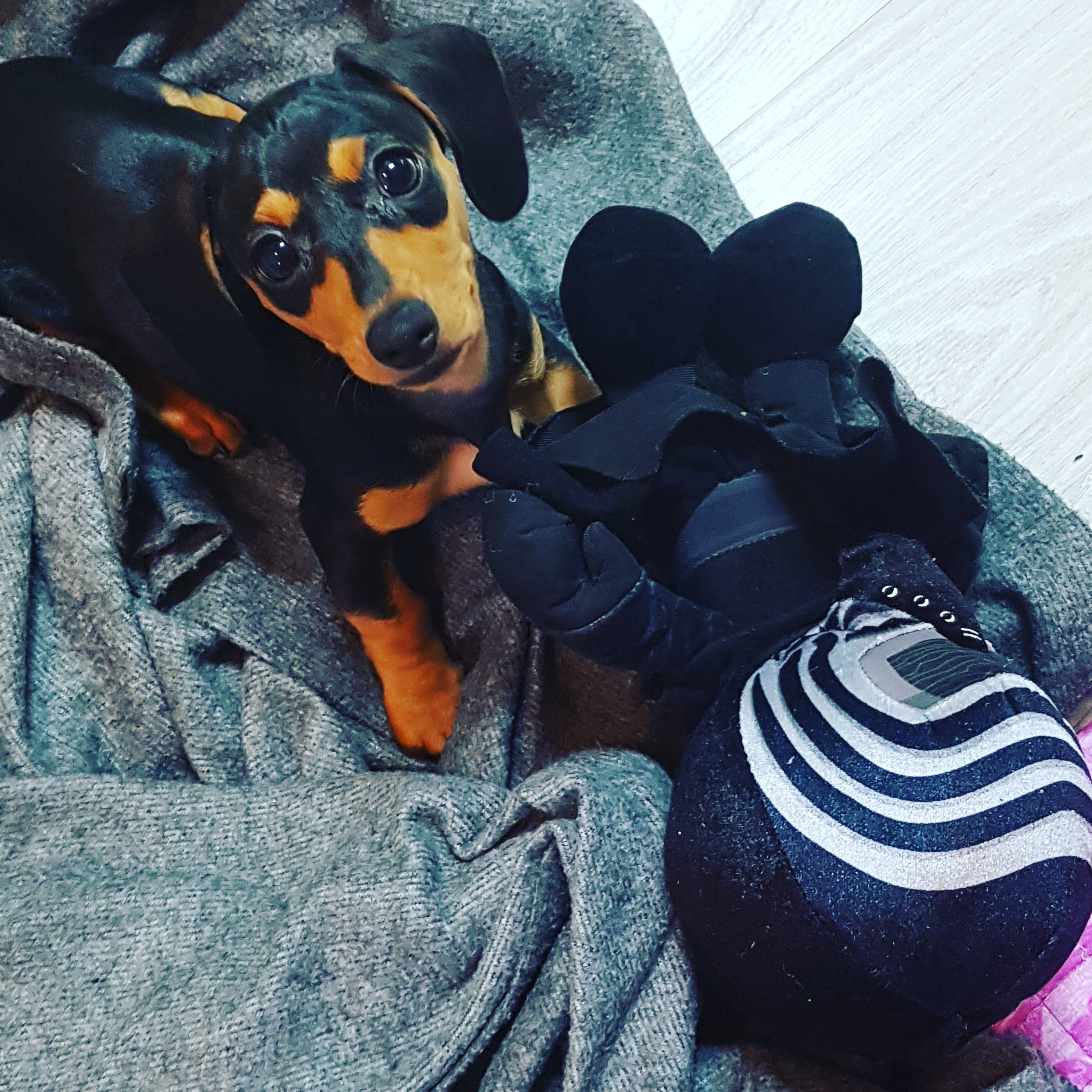 IMG_20171218_081813_959